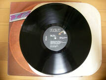イギー・ポップ【US盤 LP】IGGY POP Choice Cuts | RCA AFL1-4957 (ザ・ストゥージズ The Stooges_画像7