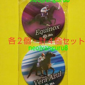 イクイノックス*ヴェラアズール*缶バッジ*フリーパス*東京競馬場*天皇賞秋*ジャパンカップ*JRA