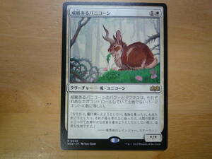 MTG　WOE　威厳あるバニコーン/Regal Bunnicorn　日本語　プロモ　1枚