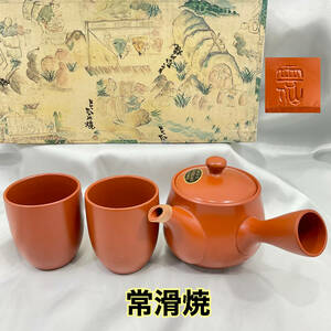 【未使用】常滑焼 雲仙 急須 湯呑 2客セット 茶器セット 陶器(C848)