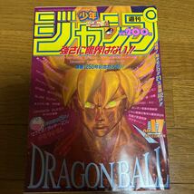 少年ジャンプ　1993年　No.17号　ドラゴンボール　幽遊白書　ドラゴンクエスト　スラムダンク ジョジョの奇妙な冒険_画像1