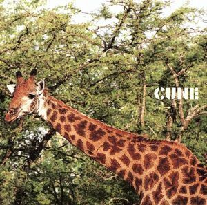 クローバー／ＣＵＮＥ