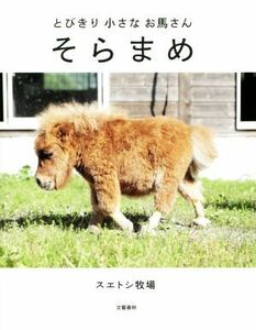 写真集　とびきり小さなお馬さん　そらまめ／スエトシ牧場(著者)