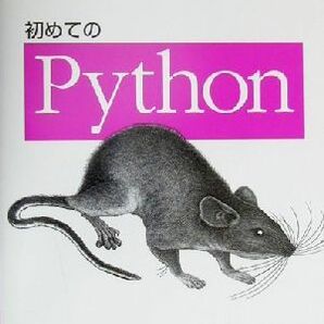 初めてのＰｙｔｈｏｎ／マーク・ルッツ(著者),デイビッドアスカー(著者),紀太章(訳者)の画像1