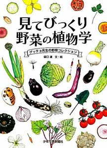 見てびっくり野菜の植物学 ゲッチョ先生の野菜コレクション／盛口満【文・絵】