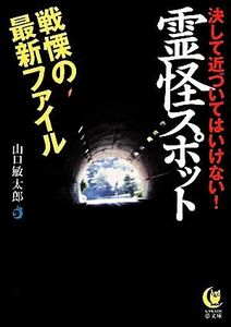 霊怪スポット戦慄の最新ファイル 決して近づいてはいけない！ ＫＡＷＡＤＥ夢文庫／山口敏太郎【著】