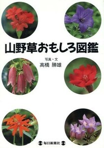 山野草おもしろ図鑑／高橋勝雄【写真・文】