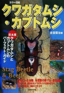 クワガタムシ・カブトムシ 日本産クワガタムシとカブトムシのパーフェクト・ガイド カラー図鑑／吉田賢治(著者)