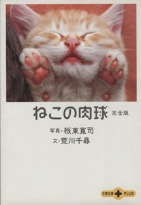 ねこの肉球　完全版 完全版 文春文庫ＰＬＵＳ／荒川千尋(著者),板東寛司