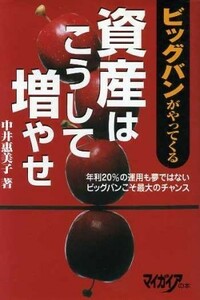 資産はこうして増やせ ビッグバンがやってくる／中井恵美子(著者)