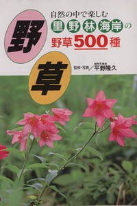 野草 自然の中で楽しむ里・野・林・海岸の野草５００種／平野隆久