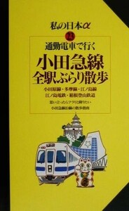 通勤電車で行く小田急線全駅ぶらり散歩 小田原線・多摩線・江ノ島線・江ノ島電鉄・箱根登山鉄道 ニューガイド私の日本α２３／関東地方