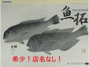 希少！店名なし シマノ 2024年 魚拓カレンダー【令和6年 Shimano 釣具 店舗名の記載なし! 】　