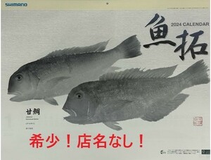 希少！店名なし シマノ 2024年 魚拓カレンダー【令和6年 Shimano 釣具 店舗名の記載なし! 】.