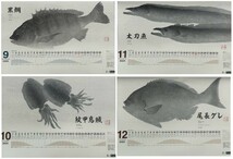 シマノ９～１２月