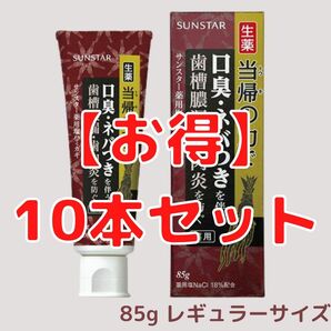 生産終了！在庫限り！【お得10本Set】薬用塩ハミガキ 当帰の力 サンスター 85g