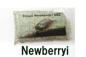Triops New berryi　カブトエビ　ニューベリー　　乾燥卵 　専用餌+解説書付き　カブトエビ