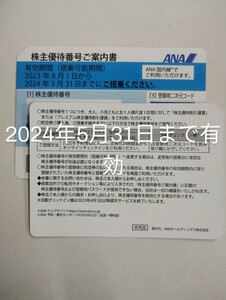 ANA株主優待券1枚です〜2024年5月31日搭乗まで有効