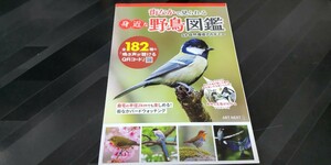 【中古美本】「街なかで見られる身近な野鳥図鑑」定価900円　野鳥の鳴き声調べに最適