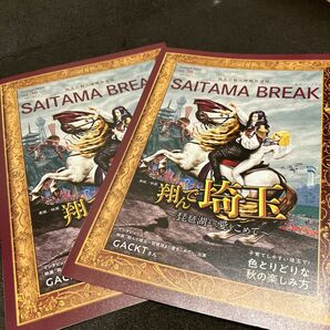 埼玉ブレイク SAITAMA BREAK 2冊 GACKTインタビューほか