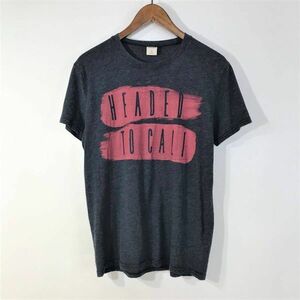 貴重☆HOLLISTER ホリスター プリントTシャツ S