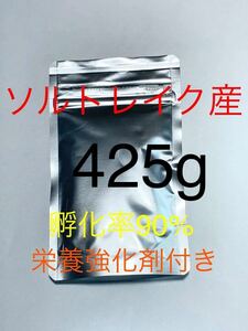 【コスパ抜群】送料無料　ソルトレイク産　高品質ブラインシュリンプ　425g 栄養強化剤サンプル付き