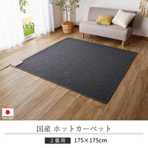 ホットカーペット 2畳 本体 175x175cm 【 ホットカーペット2畳用 本体 省エネ 】_画像2