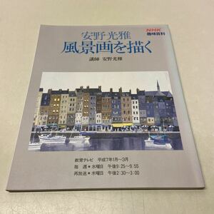 T05^ пейзаж ... дешево . свет самец NHK хобби различные предметы образование телевизор 1995 год 1 месяц ~3 месяц 231116