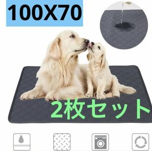 2枚セット　Lサイズ　グレー　おしっこ ペット マット トイレシート　吸水　犬猫