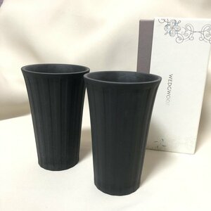 廃番品 レア品 入手困難 WEDGWOOD ウェッジウッド ジャスパー ナイト＆デイ ペア ビア マグ カップ コップ IW311AZ03WDG_60