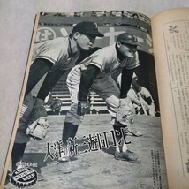 週刊ベースボール　1965年3月15日号_画像7