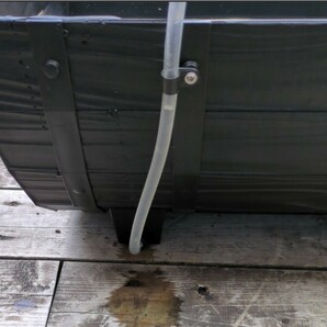 樽型のプランター500 メダカの水槽 ビオトープの画像2