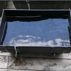 樽型のプランター500 メダカの水槽 ビオトープの画像1