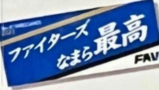 【非売品】 日ハム ファンクラブ ファイターズなまら最高　北海道弁タオル