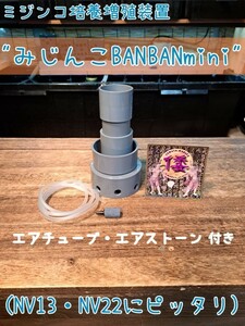 【倭めだか】 “みじんこBANBANmini” タイリクミジンコ タマミジンコ オオミジンコ 培養 装置 エアリフト式 繁殖 増殖 メダカ 稚魚 生餌