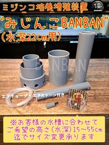 【倭めだか】 “みじんこBANBAN” タマミジンコ オオミジンコ タイリクミジンコ 培養炉 装置 エアリフト式 繁殖 増殖 メダカ稚魚 生餌