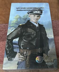 1/6 アラート　ライン　Alert line AL100030 WWII Luftwaffe Fighter Ace Pilot 1 WW2 ドイツ空軍 エースパイロット 未開封