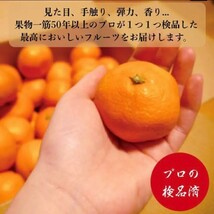 長崎産特選伊木力みかんMサイズ10キロ約100個入 産地箱入です、お歳暮にどうぞ お祝 お供 手土産 出産祝 お返し 内祝 誕生日 フルーツ 果物_画像4