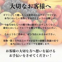 長崎産特選伊木力みかんMサイズ10キロ約100個入 産地箱入です、お歳暮にどうぞ お祝 お供 手土産 出産祝 お返し 内祝 誕生日 フルーツ 果物_画像8