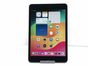 Apple A2124 iPad mini 第5世代 64GB Cellularモデル■1週間保証