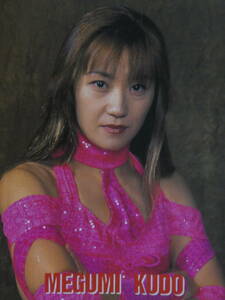 女子プロレス・オールスター・スーパーカタログ1997　工藤めぐみ、中山香里、府川由美、本谷香名子、日向あずみ、白鳥智香子、大向美智子