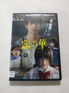 DVD【惡の華】レンタル 傷多数 伊藤健太郎 玉城ティナ 秋田汐梨 飯豊まりえ 高橋和也 佐々木すみ江 坂井真紀 鶴見辰吾 松本若菜 黒沢あすか