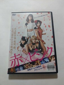 DVD【赤×ピンク】　レンタル落ち　キズ大　桜庭一樹(監督)　芳賀優里亜　多田あさみ　水崎綾女　小池里奈　桃瀬美咲　桜木利奈　三田真央