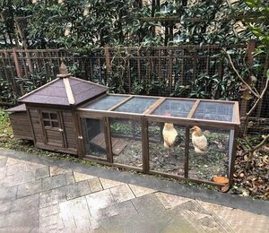 高品質 鶏小屋 屋外 庭用 ニワトリかご トリ小屋 別墅 ウサギの巣 ペット用品 鳥かご ニワトリ屋 アヒル 鳥かご ペット