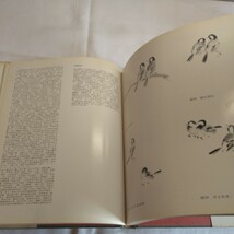 a-1295◆ 和本 古書 古文書 和書 古本 時代 仏教◆状態は画像で確認してください。_画像6