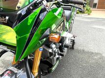 【GPZ900R カナード 特別仕様 】限定数 忍者 ニンジャKawasaki フロントカウル アッパーカウル トップガン ZRX GPZ カスタム ウイング_画像2