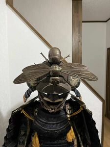 大雀蜂、蜂、オオスズメバチ、前立のみ、武具、甲冑、兜、戦国時代、侍、サムライ等身大 戦国武将、SAMURAI、armor、Japan