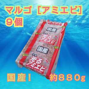 マルゴ［アミエビ］9個　1箱　平均880グラム　コマセ　サビキ　釣りエサ