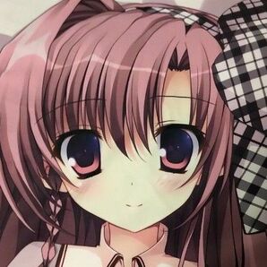 【正規品】祭社 ななろば華 C86 抱き枕カバー