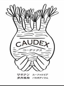 CAUDEXの土2リットル　グラキリス　オペルクリカリアパキプス　アガベチタノタ　サボテン　亀甲竜　多肉植物　塊根植物